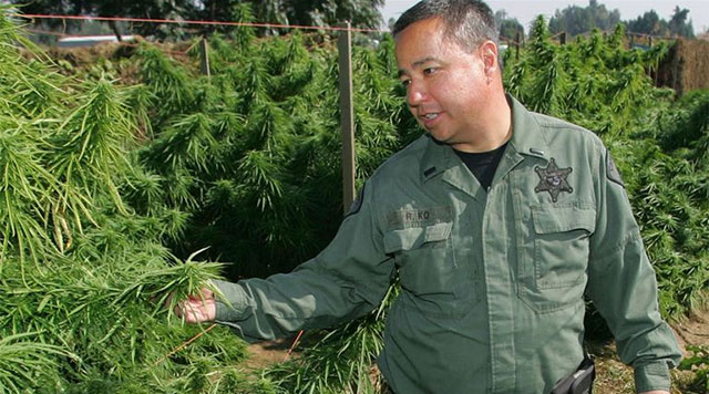 Joint Forces: Following local enforcement as they wage a war on weed