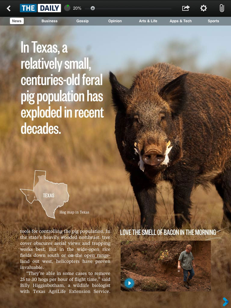 Aporkalypse Now: Texas declares war on feral pigs